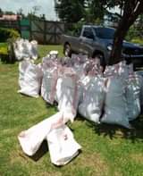 A picture of Landscaping service