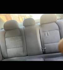 A picture of Peagout 406