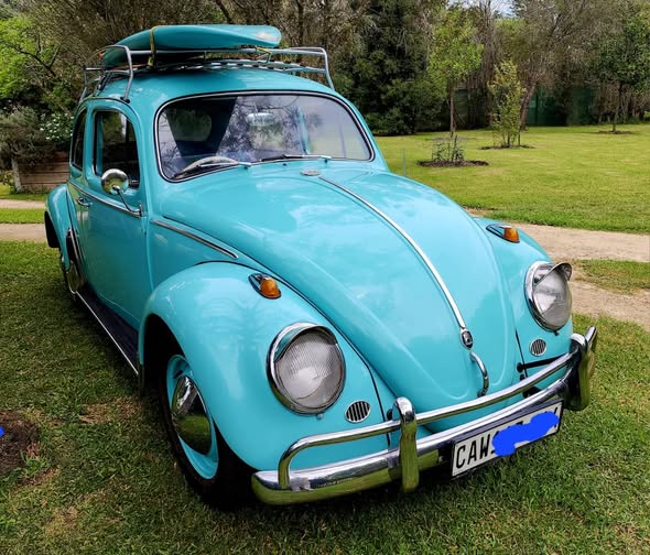 vw beetle