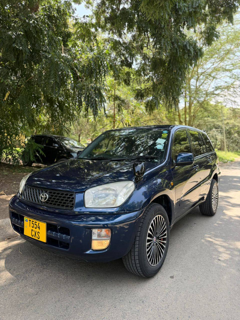 A picture of Rav4 kill time