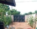 A picture of INAUZWA MOROGORO NANE NANE TUNGIA MIL 12