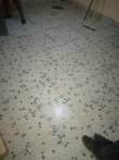 A picture of Nice house for rent gisozi main road rent 120k0781680881