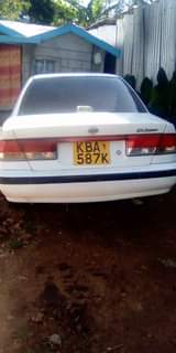 Kibe J.