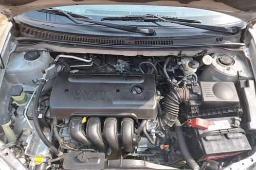 A picture of 2008 Toyota Corolla