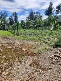 A picture of Huse for sell