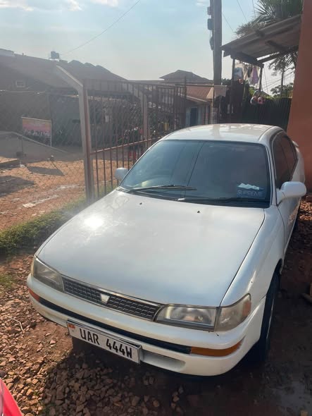 A picture of 9 5m 100 Uar 0705471381