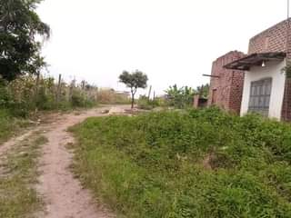 A picture of PLOT 50 100ft for sale in Nakaseke Kapeeka