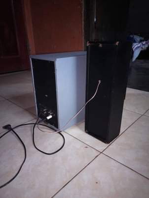 A picture of Lasonic woofer