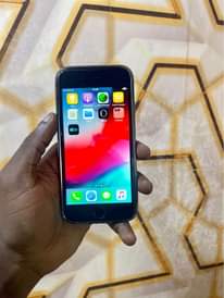 A picture of iPhone 6PLAIN