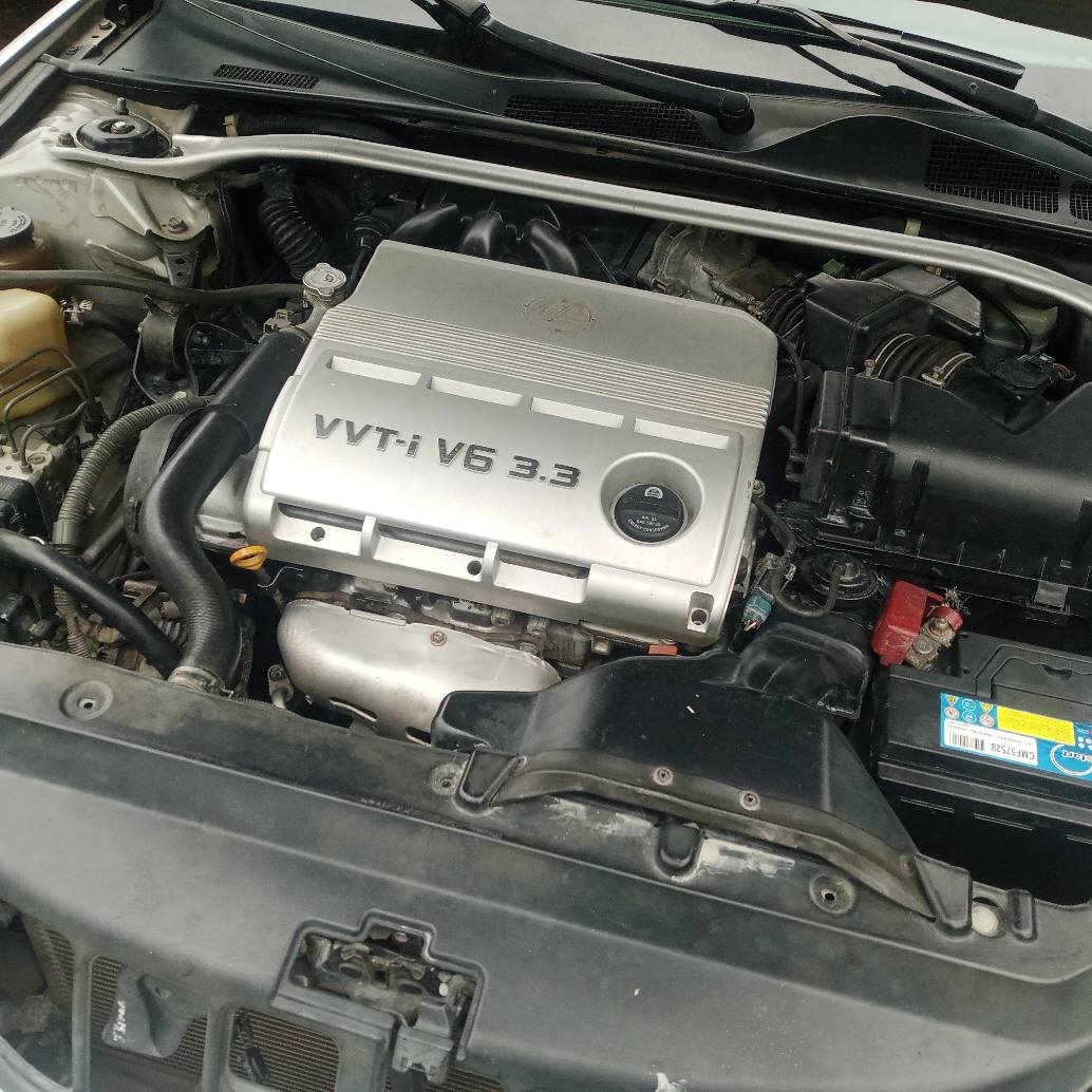 A picture of Lexus ES 330 2006 model
