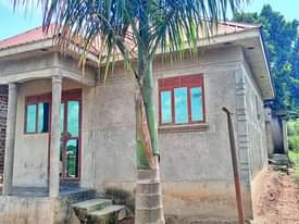 A picture of For sale