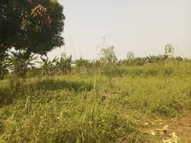 A picture of Quick sale 9m 100by100ft located at matugga kalasa along matugga