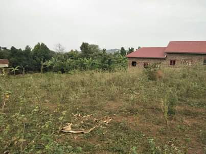 A picture of 6 tilted plots 50ft by 100ft Mafubira Jinja City 35M
