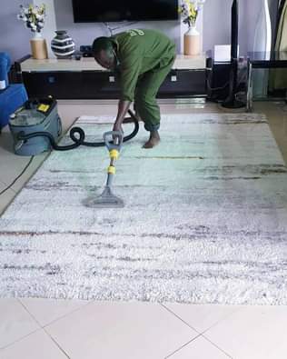 A picture of Sofa and carpet Cleaning fumigation