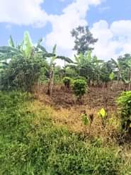 A picture of 13 acres of land for sale at kilolo kabale branch