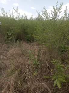 A picture of Shamba la heka 2 linauzwa lipo kiwangwa bagamoyo