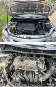 A picture of 7 8m with sambo 2013 Toyota Corolla on belt with
