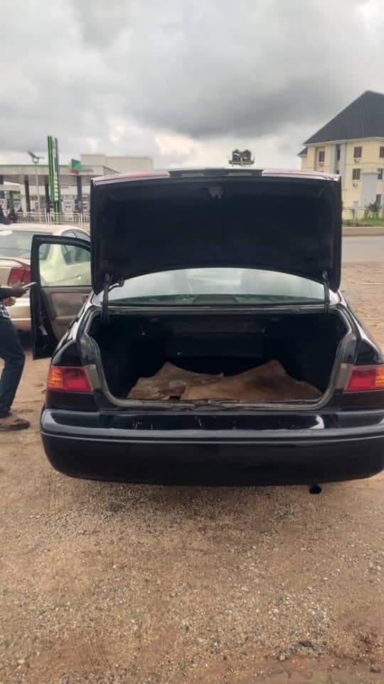 A picture of Camry Big Light
