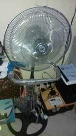 A picture of Fan crown and Gotv