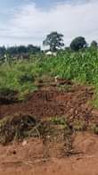 A picture of Land