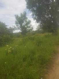 A picture of Njoo uchukue kiwanja vigwaza 20x20 laki 7 tu. Lami unaiona