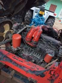 A picture of Fuso tiper