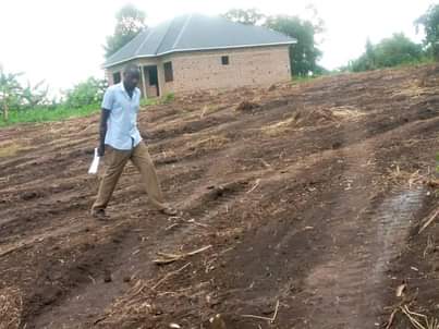 houses matugga
