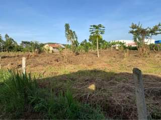 A picture of One acre for sale 70M. Bombo 23 miles only 50metres