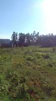 A picture of 20ft x 68ft Residential Plot Agreement sale in NSAGU NAKAWUKA
