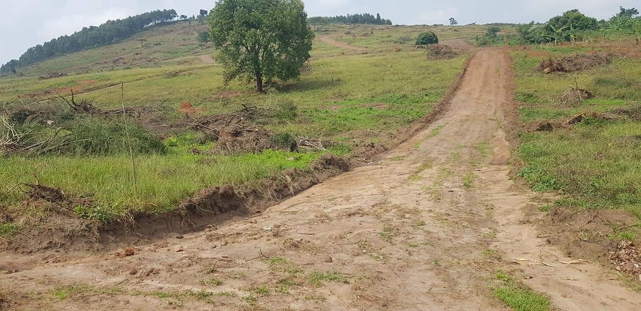 A picture of WAKISO NAMAYUMBA TOWN ESTATE 10M 12M 14M