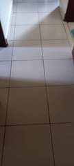 A picture of HOUSE