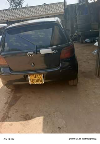 A picture of Vitz