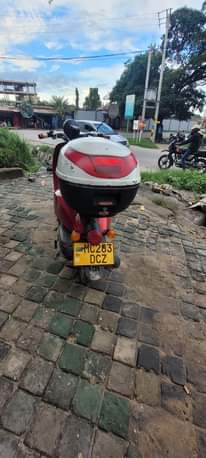 A picture of Pkpk cha safari