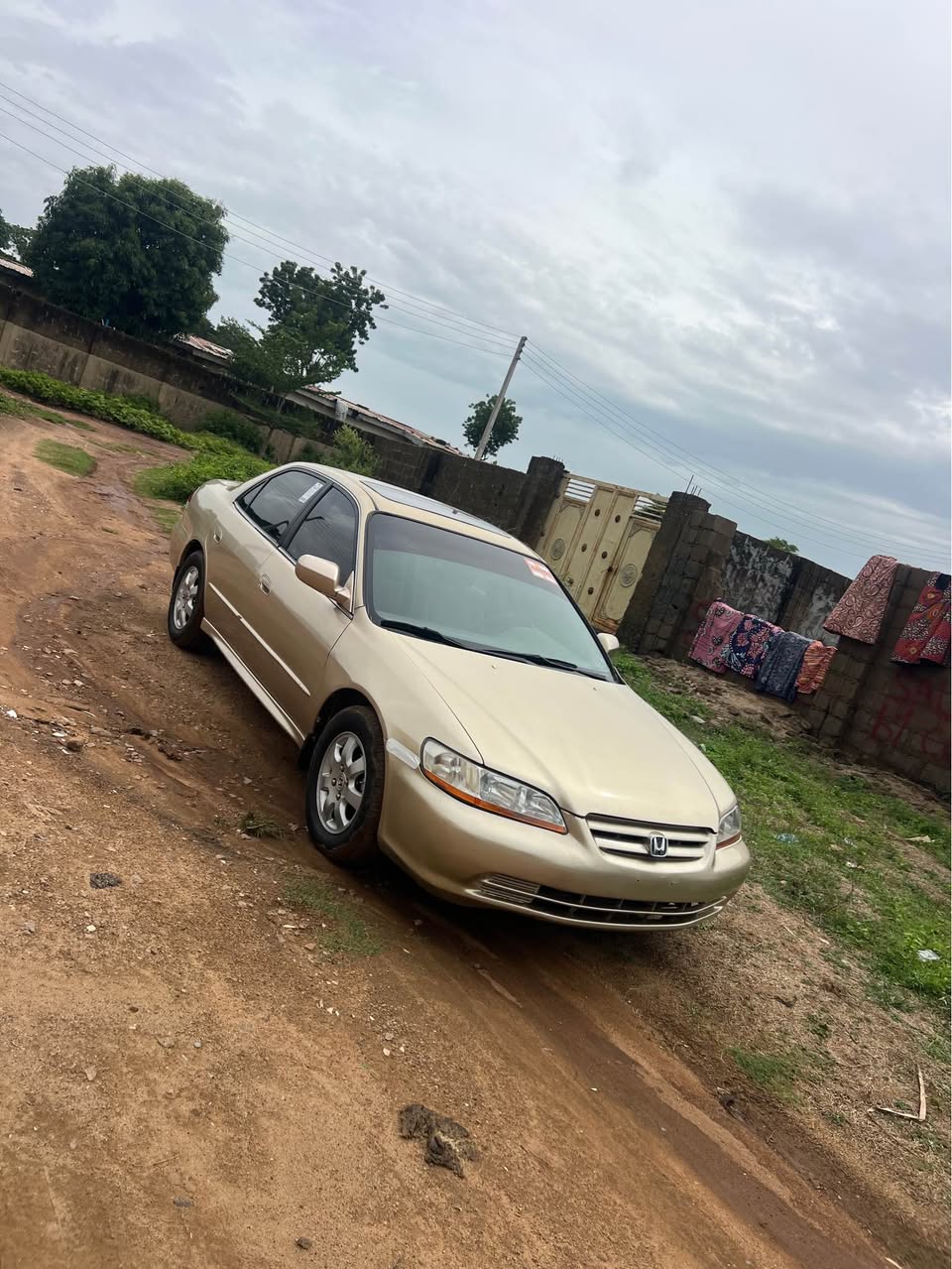 A picture of Honda accord 2000