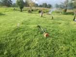 A picture of Tree felling and garden service