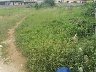Kzn C.