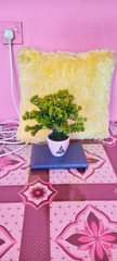A picture of Maua Artificial yanapatikana.