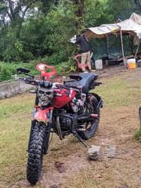 A picture of BM Pimped DOMO LA MAMBA