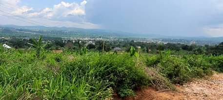 A picture of 0709106274 0774591471 TITLED PLOTS 50X100 FT WITH TITLE 7M UGX