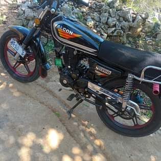 JAMAICA C.