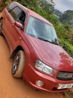 A picture of Subaru 2007