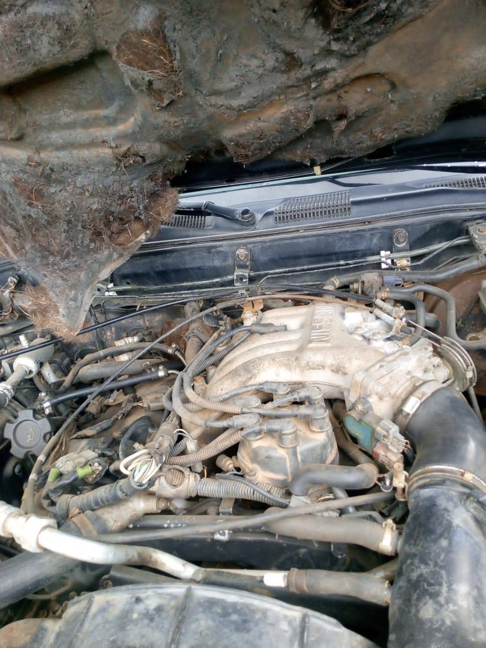 A picture of Nissan Pathfinder first body