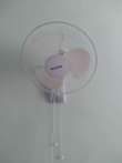 A picture of FENI