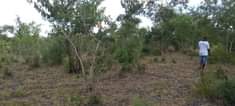 A picture of SHAMBA HEKA 6 BADO LIPO TSH 1 350 000 LIPO