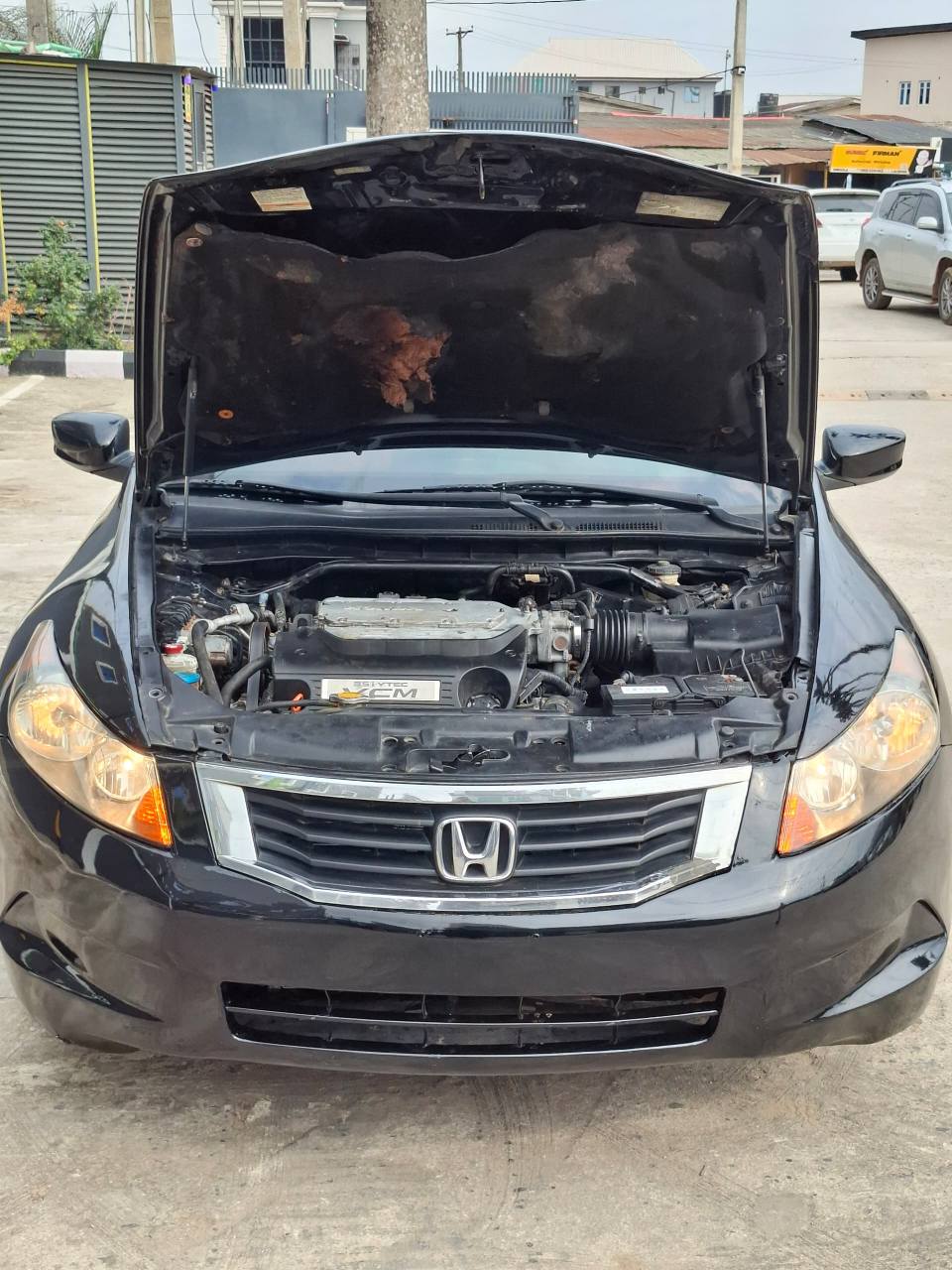 A picture of Honda Accord 2008