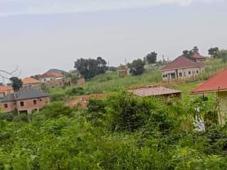 A picture of  we have a Plot for sale in Matugga Kavule