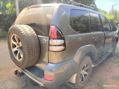 used toyota prado