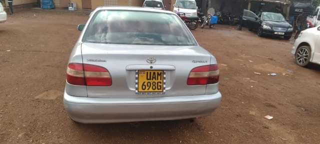 A picture of Kikumi kumi at least good condition buy and drive call