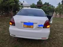 A picture of VEROSA