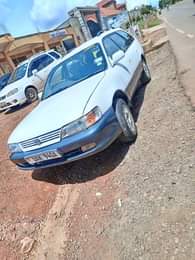 A picture of 0705627113 6 9m Perfect every where
